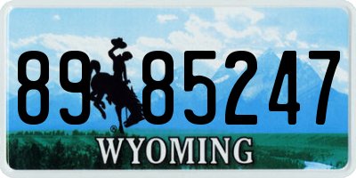 WY license plate 8985247