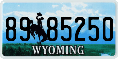 WY license plate 8985250