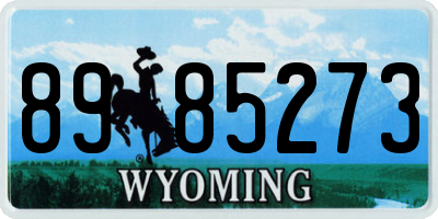 WY license plate 8985273
