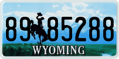 WY license plate 8985288