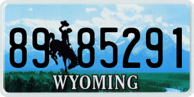 WY license plate 8985291