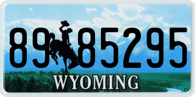 WY license plate 8985295