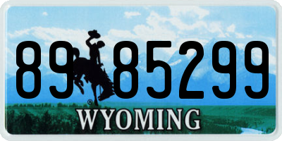 WY license plate 8985299