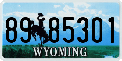 WY license plate 8985301