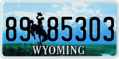 WY license plate 8985303