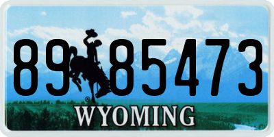 WY license plate 8985473