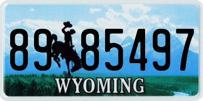 WY license plate 8985497
