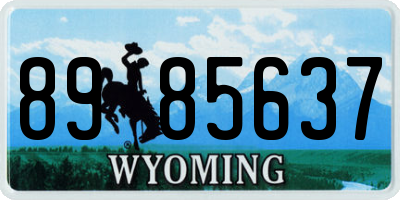 WY license plate 8985637