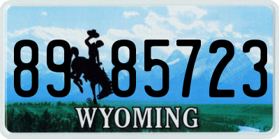 WY license plate 8985723