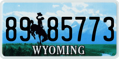 WY license plate 8985773