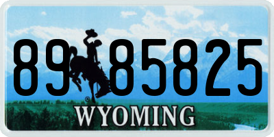 WY license plate 8985825