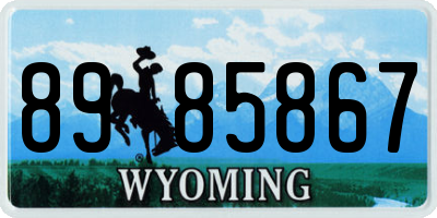 WY license plate 8985867