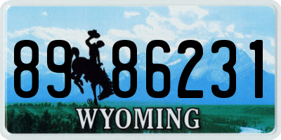 WY license plate 8986231