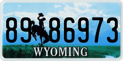 WY license plate 8986973