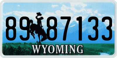 WY license plate 8987133