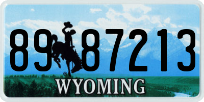 WY license plate 8987213
