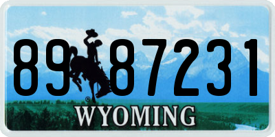 WY license plate 8987231