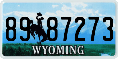 WY license plate 8987273