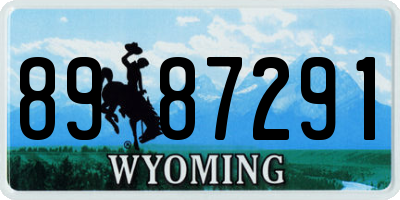 WY license plate 8987291