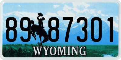WY license plate 8987301