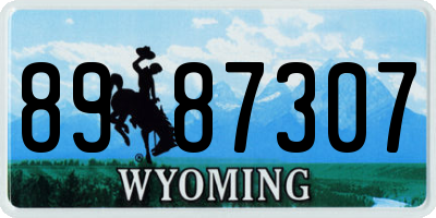 WY license plate 8987307