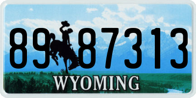 WY license plate 8987313