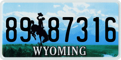 WY license plate 8987316