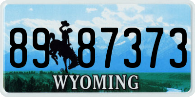 WY license plate 8987373