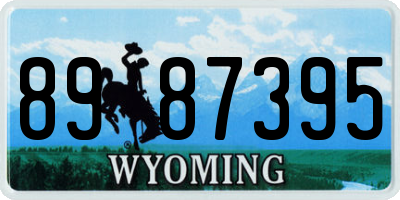 WY license plate 8987395