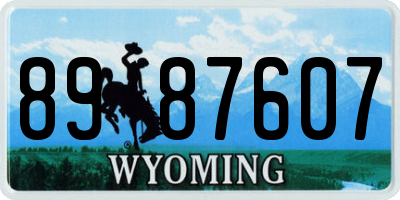 WY license plate 8987607