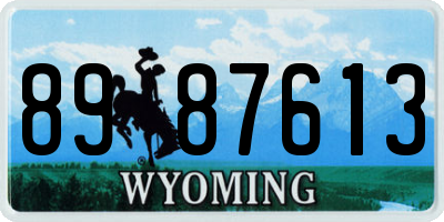 WY license plate 8987613