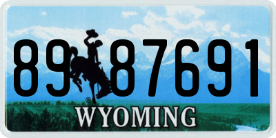 WY license plate 8987691