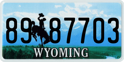 WY license plate 8987703