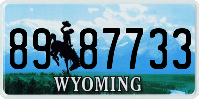 WY license plate 8987733