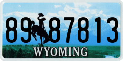 WY license plate 8987813