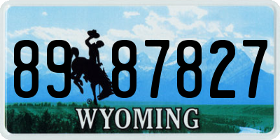 WY license plate 8987827