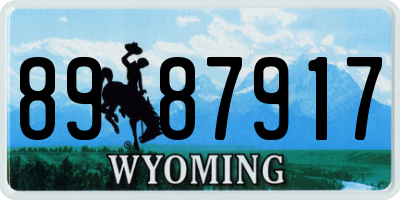 WY license plate 8987917
