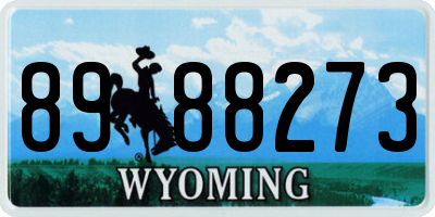 WY license plate 8988273