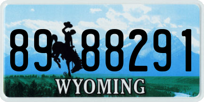WY license plate 8988291