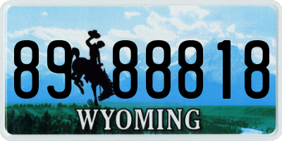 WY license plate 8988818