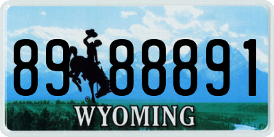 WY license plate 8988891