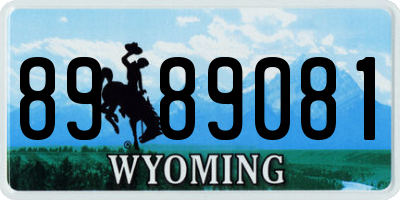 WY license plate 8989081