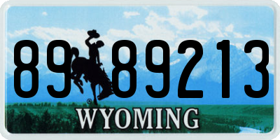 WY license plate 8989213