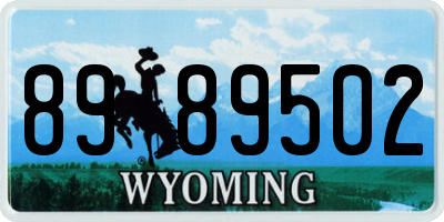 WY license plate 8989502