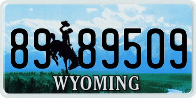 WY license plate 8989509
