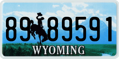 WY license plate 8989591