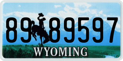 WY license plate 8989597