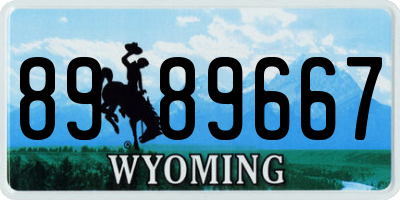 WY license plate 8989667