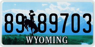 WY license plate 8989703