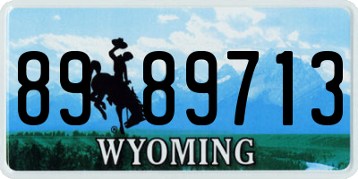 WY license plate 8989713
